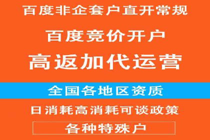 百度竞价广告的创意与执行：成功案例剖析